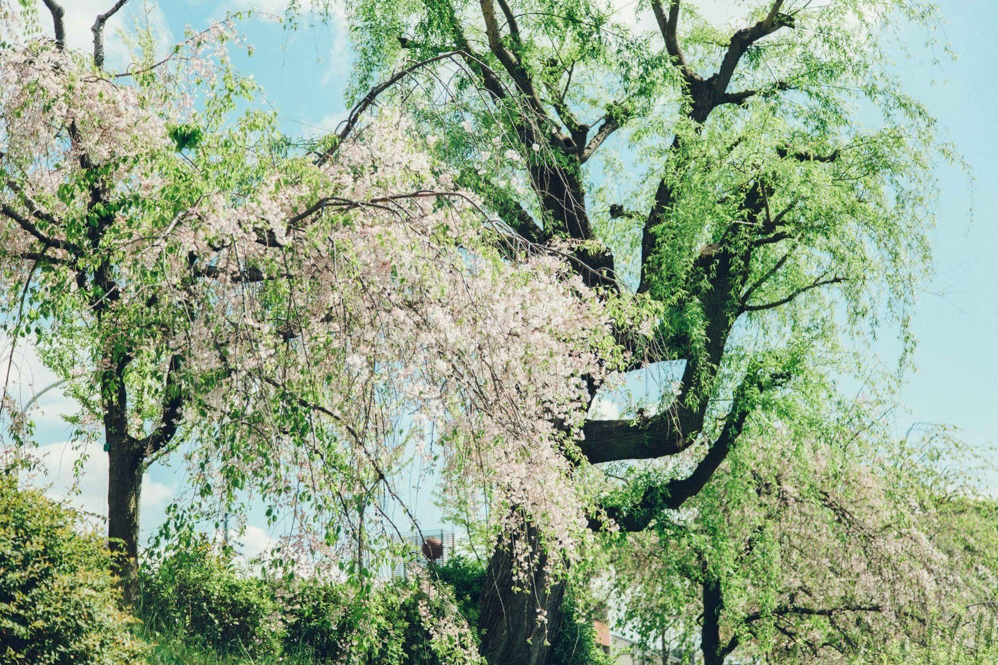 Len Kyoto Kawaramachi Pansiyon Dış mekan fotoğraf